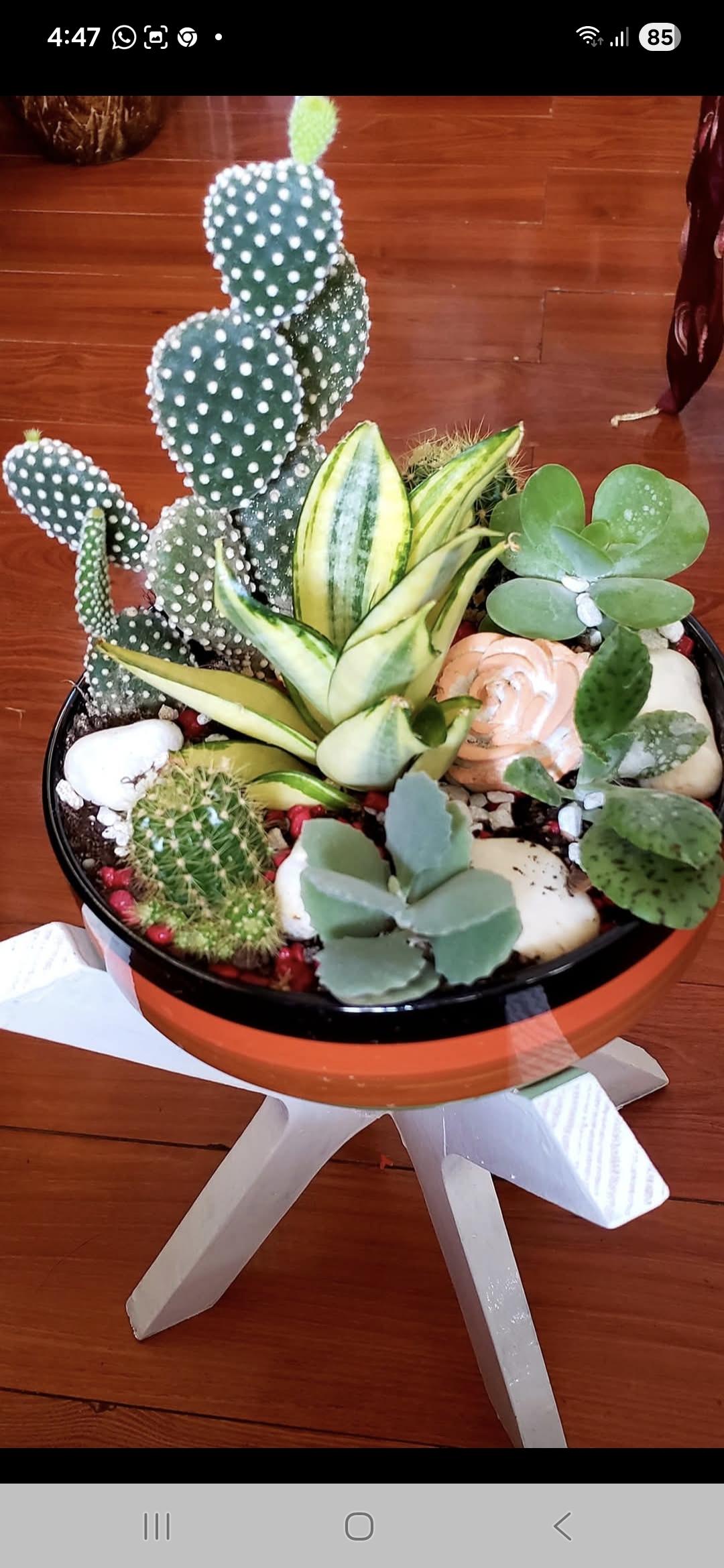 Less water more life 